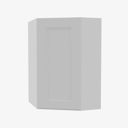 TW-WDC2430 Single Door Cabinets 24 Inch Wall Diagonal Corner Cabinet | Uptown White